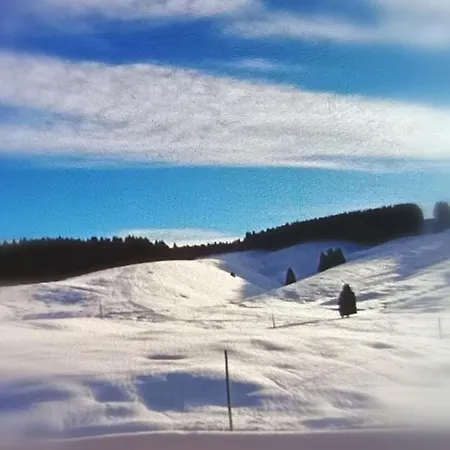 Altopiano Di Asiago Ronchi (Vicenza)